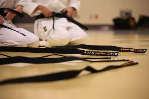 The Role of Kata in Karate Training